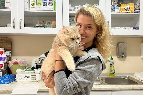 Live Vet Veteriner Kliniği - Resim 7
