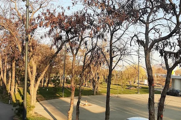 Millet Bahçesi Yaya Girişi - Resim 18