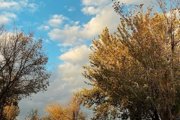 Millet Bahçesi Yaya Girişi - Resim 16