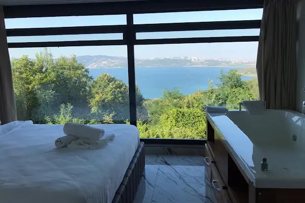 Sapanca Villa Suite Boutique Hotel &amp; Restaurant - Resim 2