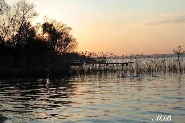 Sapanca Villa Suite Boutique Hotel &amp; Restaurant - Resim 15