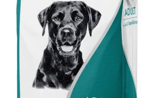 Ataşehir Hanımeli PetStore - Kuş, Kedi, Köpek, Sürüngen, Kemirgen ve Balık Galerisi (Ataşehir muhabbet kuşu, sultan papağanı) - Resim 10