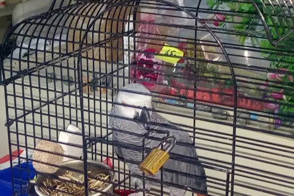 Vatan Petshop - Resim 6