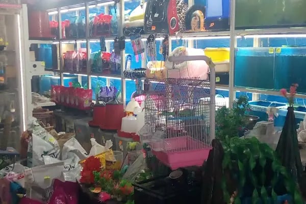 Vatan Petshop - Resim 18