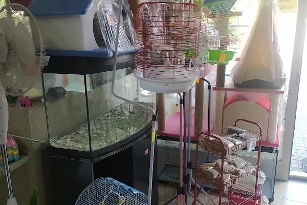 Vatan Petshop - Resim 2