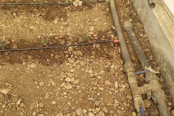 Enesagro Tarim - Resim 6