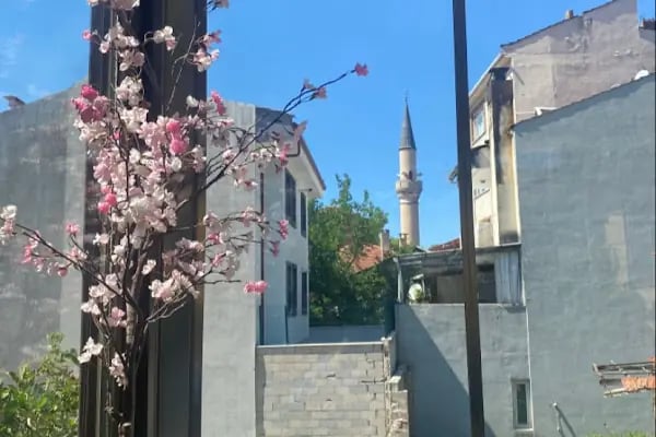 Gül Pide - Resim 5