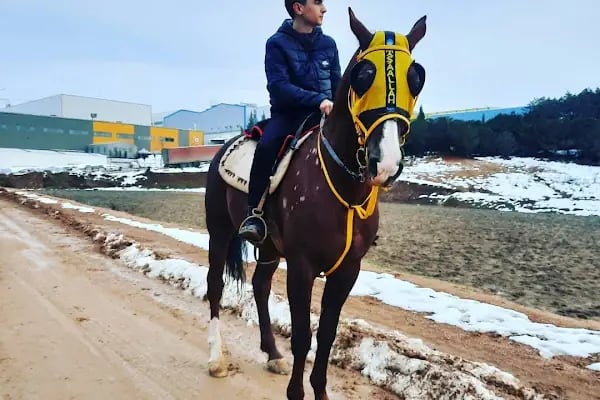 Çayırova Belediyesi Binicilik Tesisi ve Cirit Alanı - Resim 11