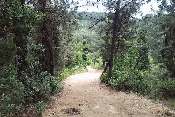 Çayırova Belediyesi Binicilik Tesisi ve Cirit Alanı - Resim 14