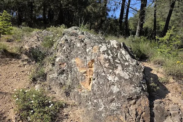Çayırova Belediyesi Binicilik Tesisi ve Cirit Alanı - Resim 16