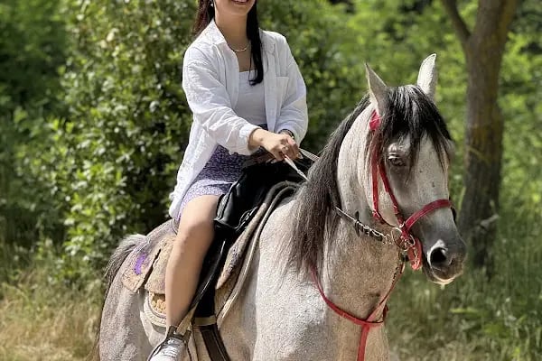 Çayırova Belediyesi Binicilik Tesisi ve Cirit Alanı - Resim 7
