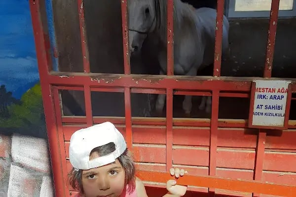 Çayırova Belediyesi Binicilik Tesisi ve Cirit Alanı - Resim 12