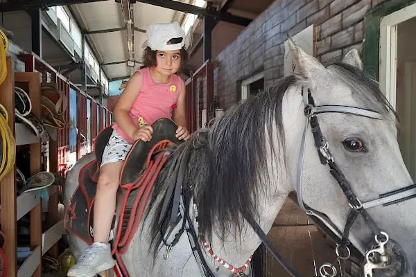 Çayırova Belediyesi Binicilik Tesisi ve Cirit Alanı - Resim 18