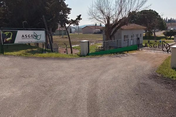 Asgen Tarım Ticaret A.Ş. - Resim 5