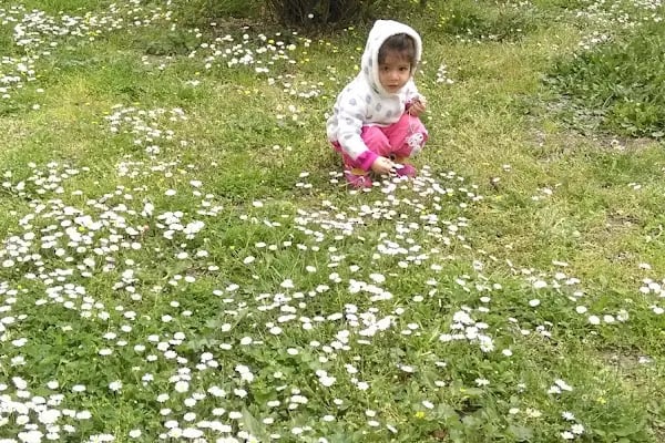 20 Temmuz Parkı - Resim 4