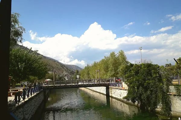 Dondurmacı Hasan Aile Çay Bahçesi - Resim 8