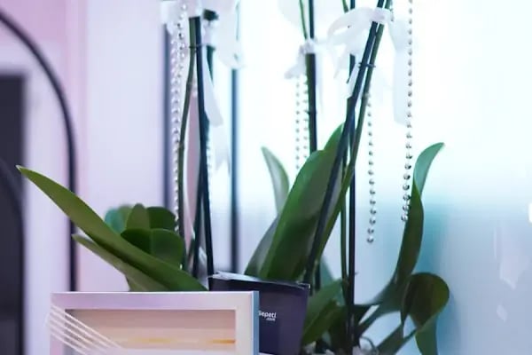 Hairvana BAY&amp;BAYAN KUAFÖR SALONU - Resim 11