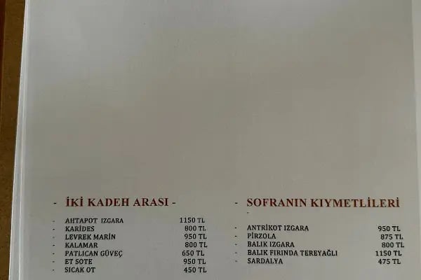 SÂKİNÂR RESTAURANT - Resim 9