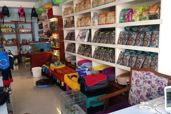 7/24 Patikür Petshop - Resim 4