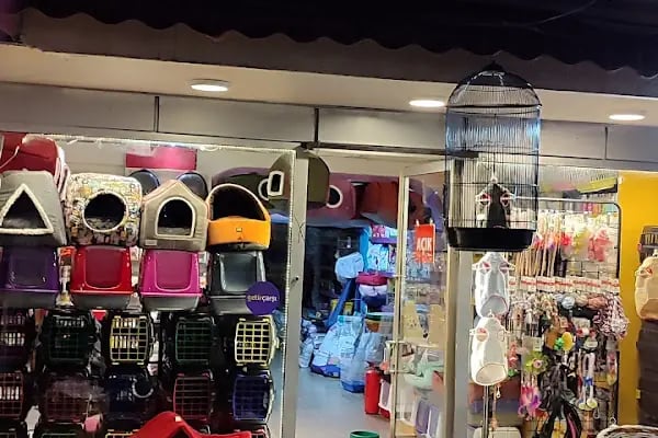 7/24 Patikür Petshop - Resim 20