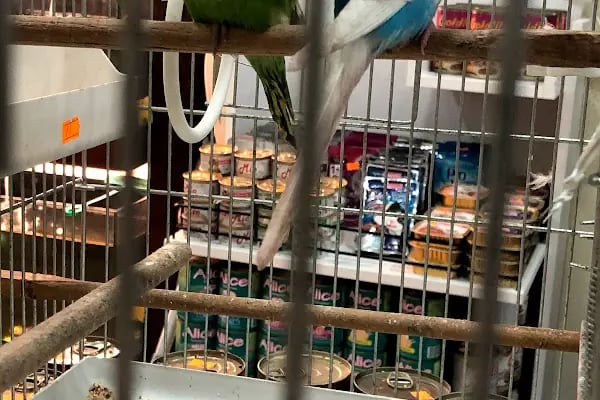7/24 Patikür Petshop - Resim 6