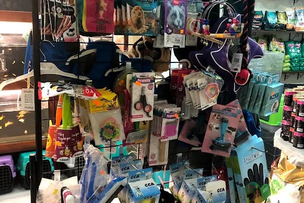 7/24 Patikür Petshop - Resim 16