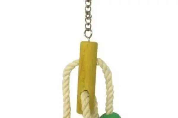 Sarıçam Petshop - Resim 18