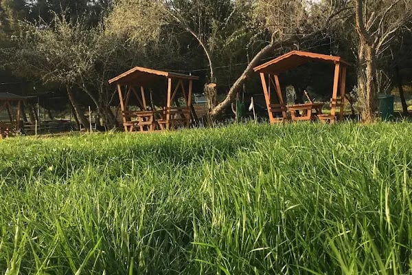 Mürefte Camping - Resim 4
