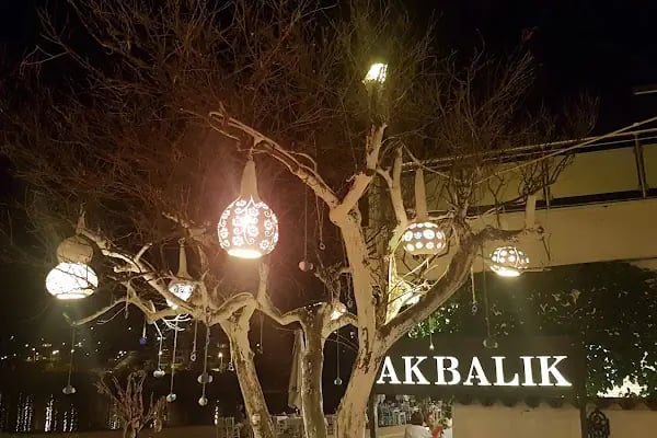 Akbalık Restaurant - Resim 7