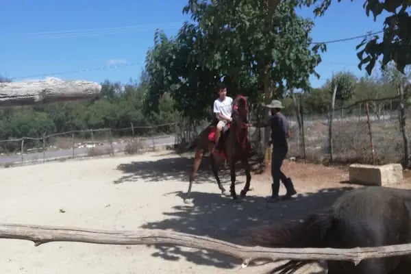 Körfez At Çiftliği - Resim 13
