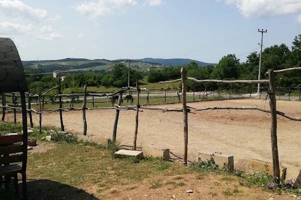 Körfez At Çiftliği - Resim 10