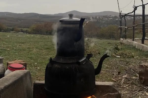 Körfez At Çiftliği - Resim 16