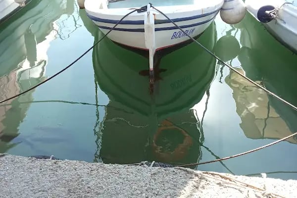 Turgutreis Su Ürünleri Kooperatifi - Resim 9