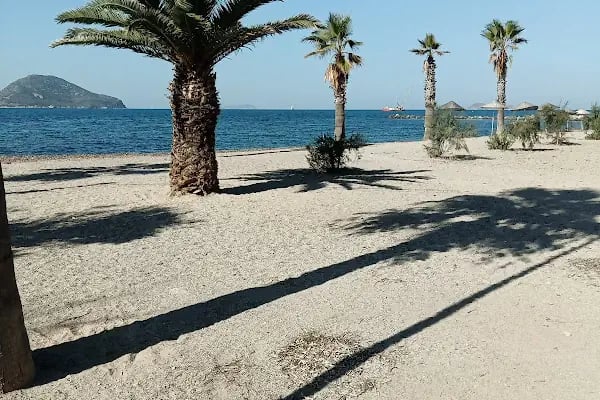 Turgutreis Su Ürünleri Kooperatifi - Resim 1