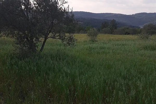 ZİRVE EMLAK BERGAMA - Resim 9