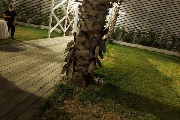 Atapark Life Kır Düğünü - Resim 20