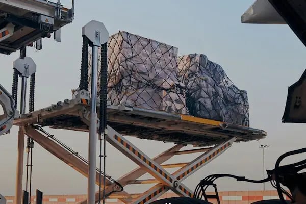 Nomad Cargo - Resim 14