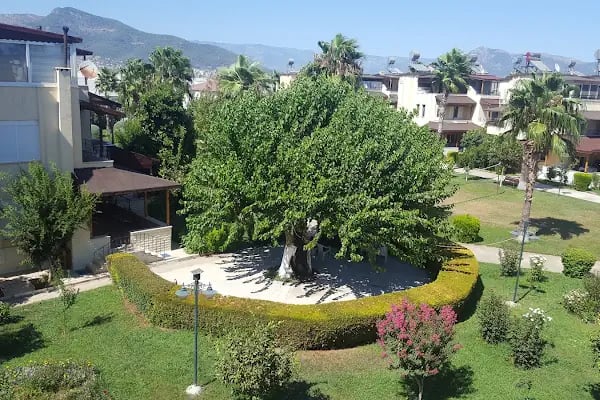 Kardelen Sahil Sitesi - Resim 1