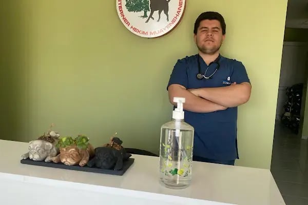 Ardıç Veteriner Kliniği (eski sempati) - Resim 6