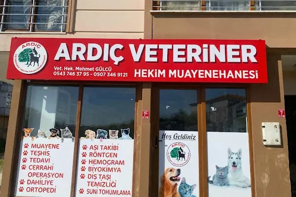 Ardıç Veteriner Kliniği (eski sempati) - Resim 3