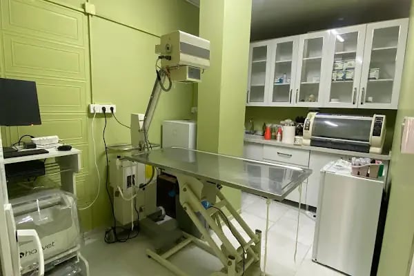 Ardıç Veteriner Kliniği (eski sempati) - Resim 4