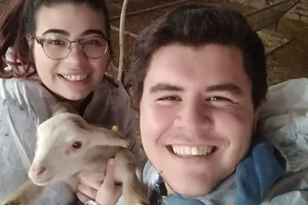 Ardıç Veteriner Kliniği (eski sempati) - Resim 11