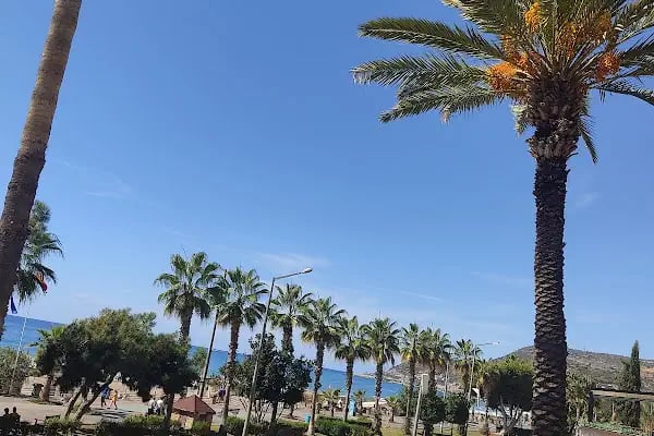Balık Hotel - Resim 12