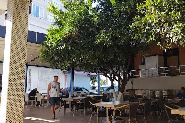 Balık Hotel - Resim 16