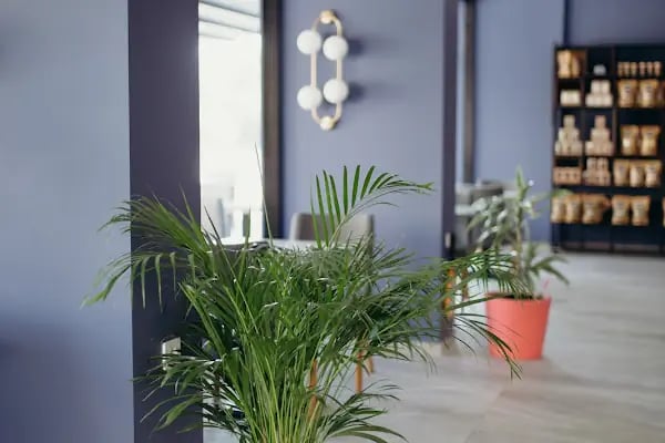 MOON COFFEE &amp; BAKERY - Resim 11