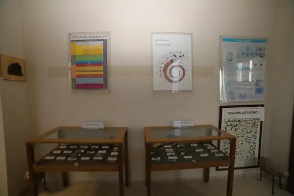 İstanbul Üniversitesi Cerrahpaşa Jeoloji Müzesi - Resim 6