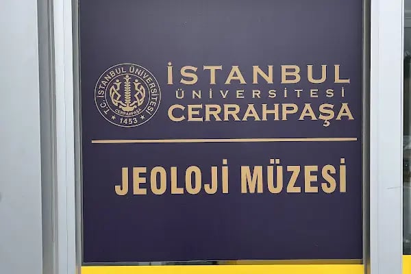 İstanbul Üniversitesi Cerrahpaşa Jeoloji Müzesi - Resim 9