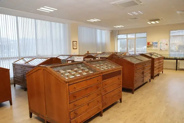 İstanbul Üniversitesi Cerrahpaşa Jeoloji Müzesi - Resim 2