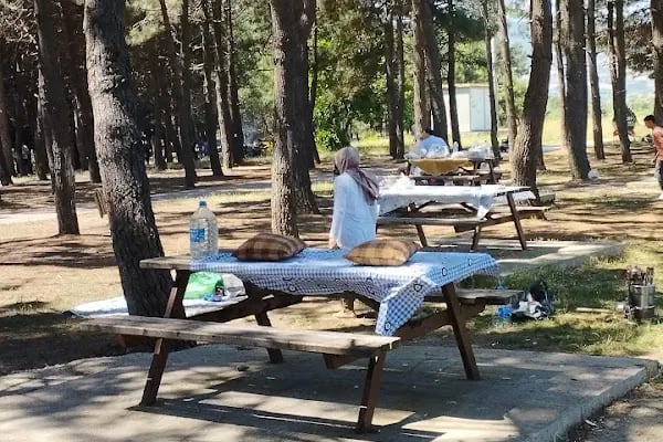 Geyikkoşan Piknik Alanı - Resim 3