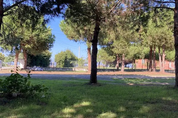 Geyikkoşan Piknik Alanı - Resim 9